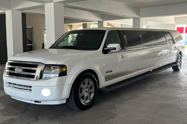 party bus puerto rico