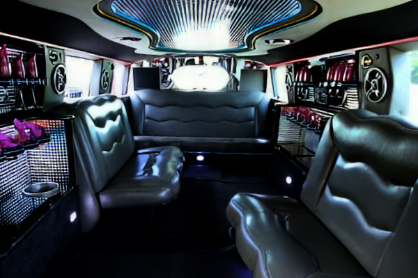 luxury limo bus